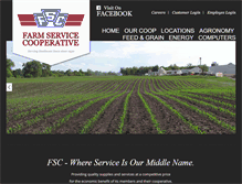 Tablet Screenshot of fscoop.com